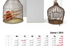 HUMAN_Kalender_2015-2