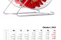 HUMAN_Kalender_2015-5